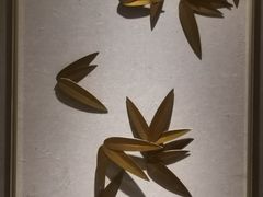 -上海佘山世茂艾美酒店