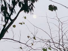 -鼓楼(西湖风景名胜区)