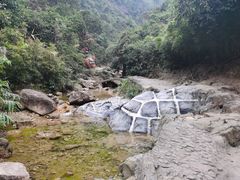 -南海湾森林生态园