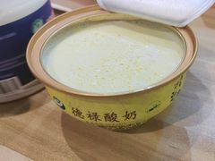 -德禄酸奶(莫家街店)