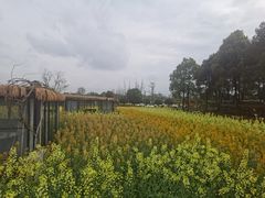 -洪湖家庭农场·团建·露营·会议