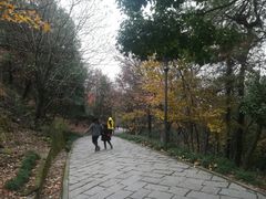 -峙山公园