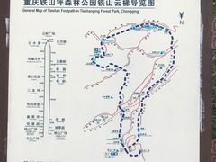 -铁山坪森林公园