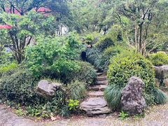 -上海醉白池公园