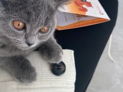 -中农国际动物医院24小时·猫科·骨科·急重症中心