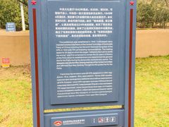 -延安杨家岭革命旧址