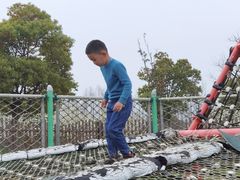 -上海长兴岛郊野公园