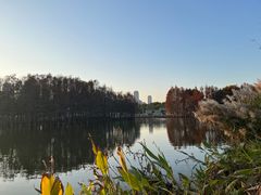 -厦门园林博览苑