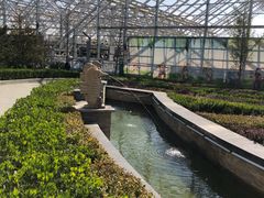 -南宫五洲植物乐园