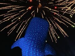 -珠海长隆海洋王国