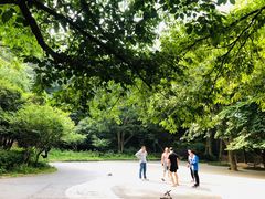 -紫金山山顶公园
