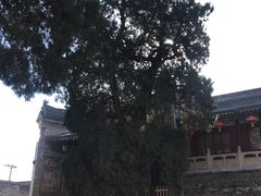 -仓颉庙