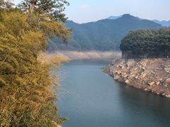 -四明山国家森林公园