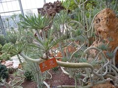 -南通洲际绿博园