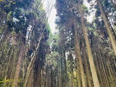 -上色见熊野座神社