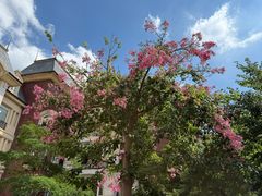 -中旅阿那亚九龙湖·公主酒店