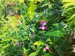 -国家植物园南园