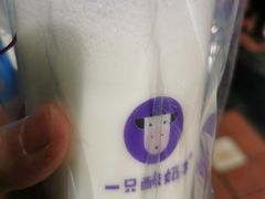 -一只酸奶牛(八一路店)