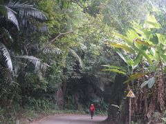 -海南霸王岭国家森林公园
