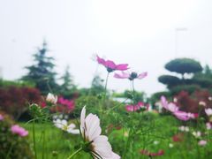 -汇泉广场