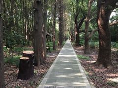 -同里国家湿地公园
