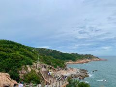 -广东惠东海龟国家级自然保护区