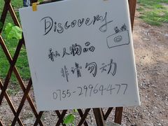 -青青世界