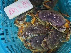 -上海龙吴水胜海发市场