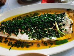 葱油蒸白水鱼-玫瑰厅上海菜(兴国路店)