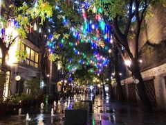 -黄祥华养生堂·炖汤·营养蒸饭(岭南天地店)