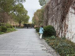 -养云安缦吧THE BAR