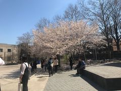 -宾夕法尼亚大学沃顿商学院