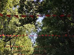 -南京金牛湖风景区