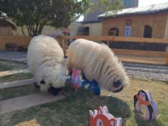 -HERRE·FARM 赫尔露营农场·团建聚会包场