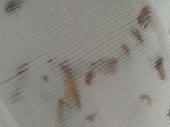 核桃云片糕-一品方糕专卖店