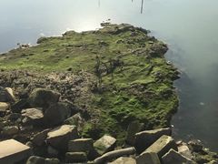 -海堤纪念公园
