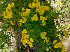 -白水寺森林公园