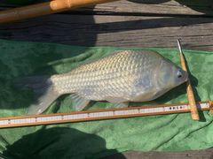 -酷鱼垂钓CLUB(朝阳区博大路店 )