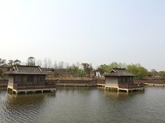 -杭州湾海上花田景区