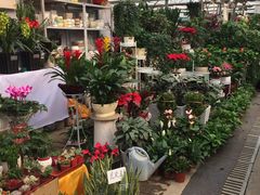 -秦美花卉(天朗·莱茵小城2期店)
