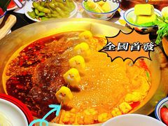 -九鼎轩脆毛肚火锅(南京东路店)