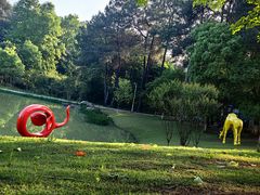 -铁山坪森林公园