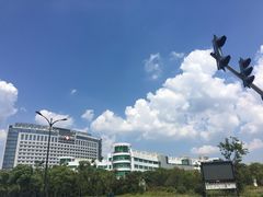 -舟山医院