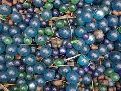 Terrance&nbsp;Garden-杭州君悦酒店