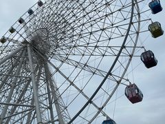 -琴岛之星摩天轮