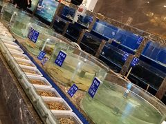-百姓渔村(南中环店)