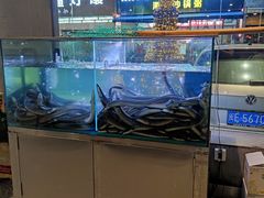 -本炙炭烤·蒲烧活鳗料理店(金沙洲店)