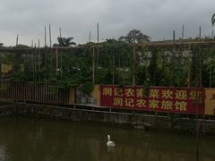-润记农家菜