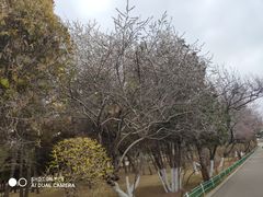 -兰山公园
