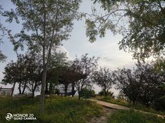 -东郊湿地公园